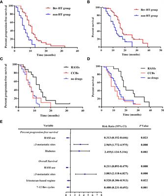 Inhibition of Angiogenesis and Extracellular Matrix Remodeling: Synergistic Effect of Renin-Angiotensin System Inhibitors and Bevacizumab